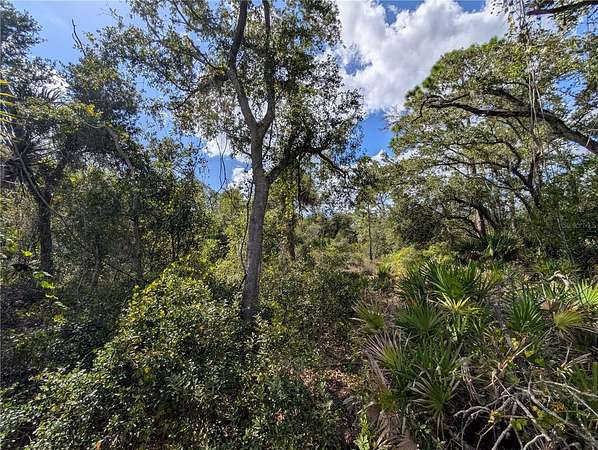 0.23 Acres of Residential Land for Sale in Port Charlotte, Florida