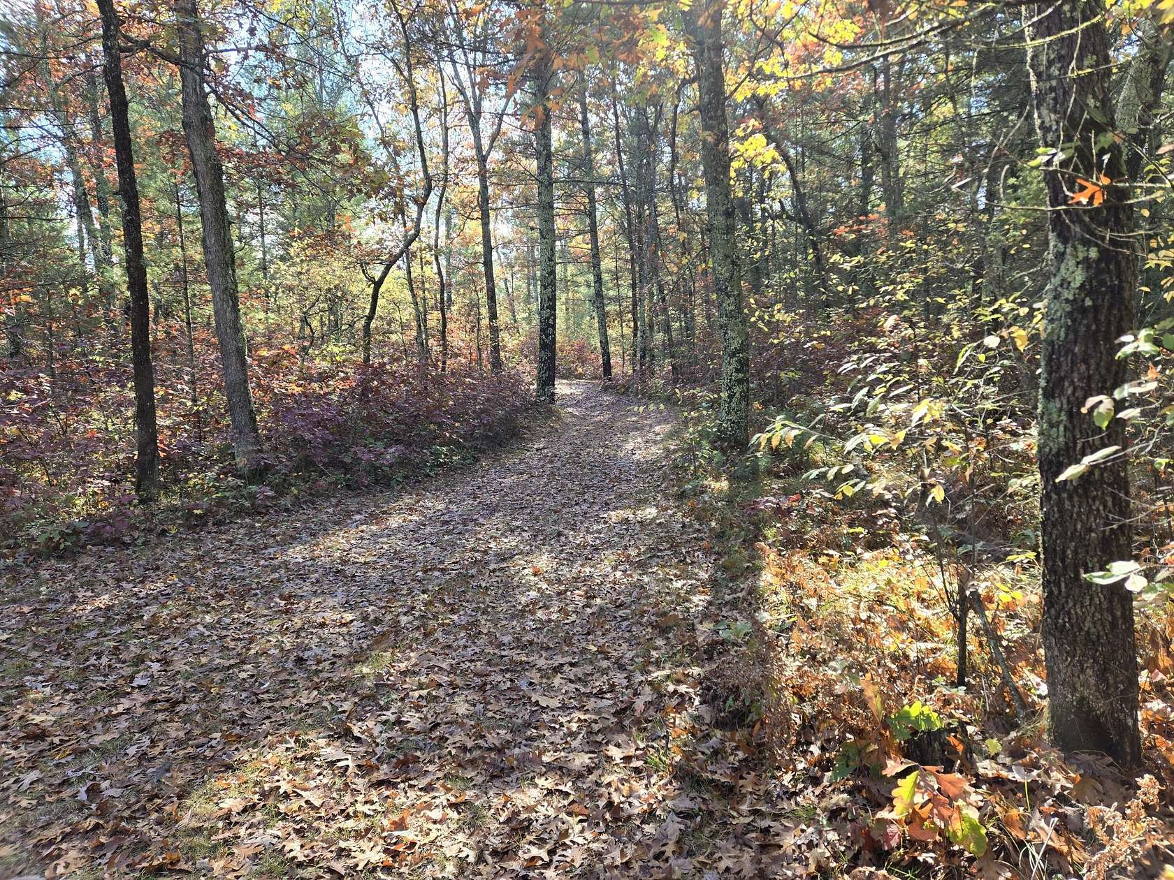 1.37 Acres of Land for Sale in Bitely, Michigan