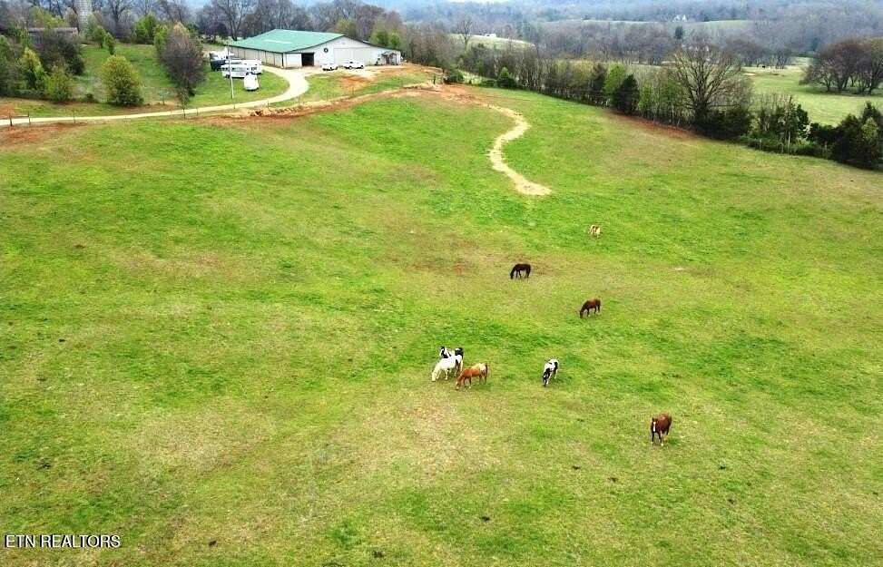 12.5 Acres of Land with Home for Sale in Greenback, Tennessee