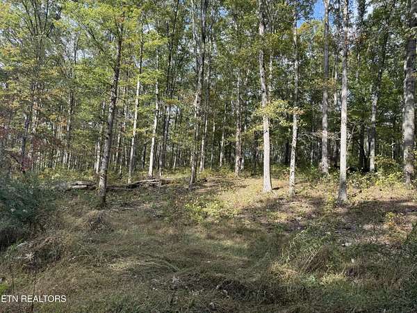 9.54 Acres of Land for Sale in Jamestown, Tennessee