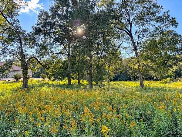 1.43 Acres of Land for Sale in Grove Hill, Alabama