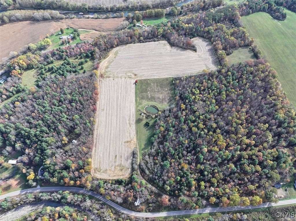 33 Acres of Land for Sale in Belmont, New York