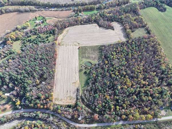 33 Acres of Land for Sale in Belmont, New York