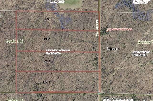 10 Acres of Land for Sale in Delta, Wisconsin