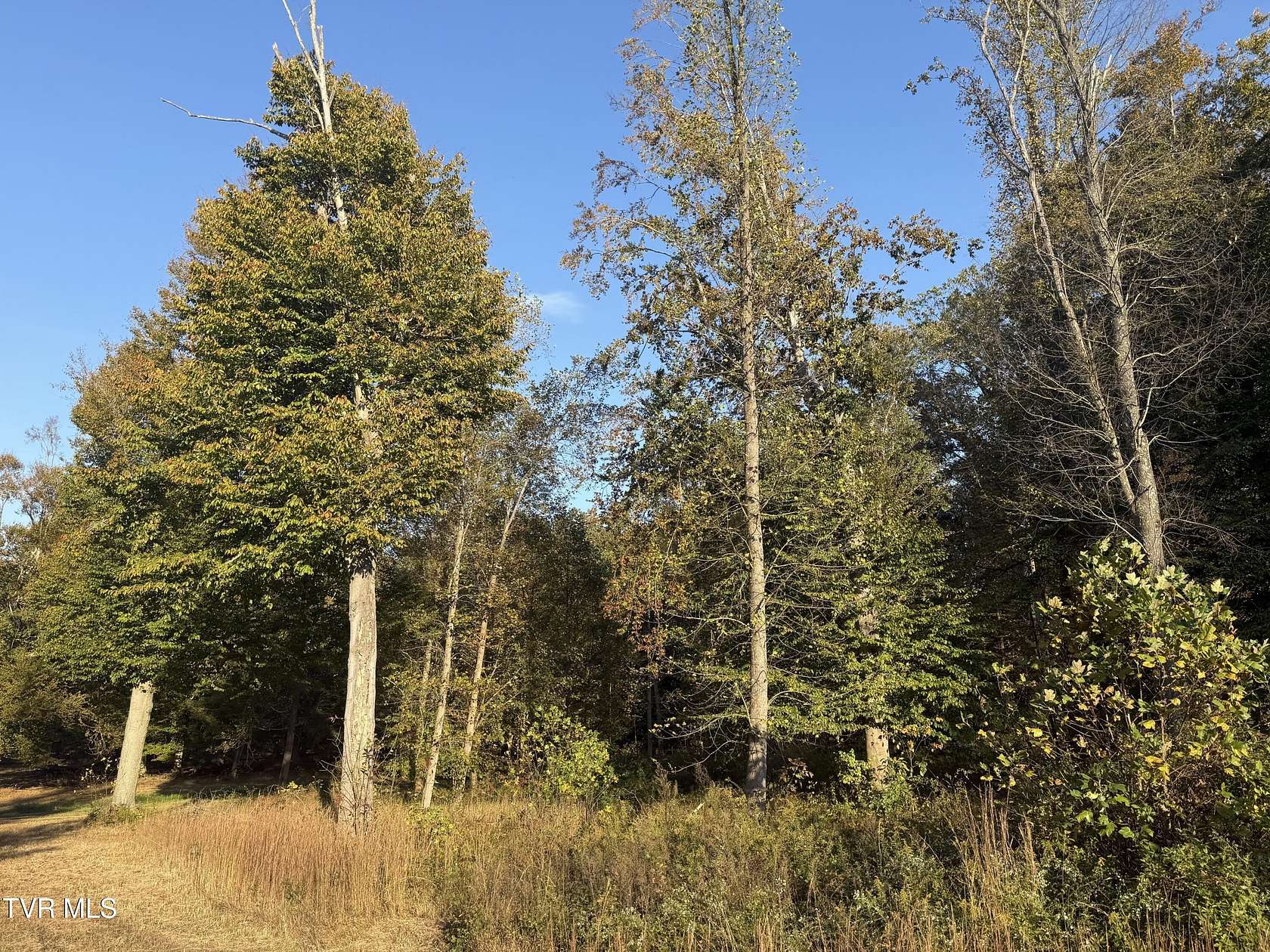 2 Acres of Residential Land for Sale in Church Hill, Tennessee