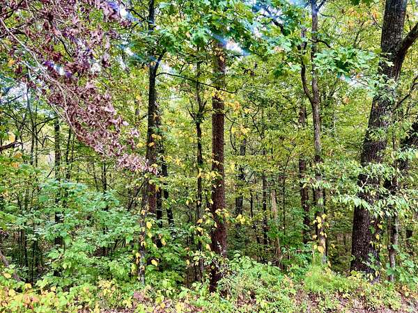0.57 Acres of Residential Land for Sale in Ringgold, Georgia