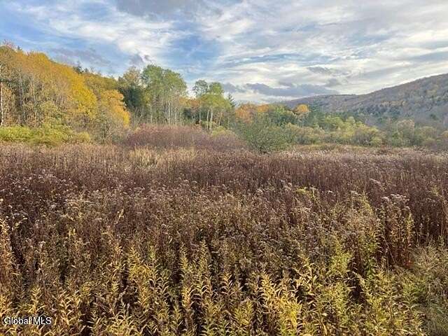 8 Acres of Land for Sale in Richmondville, New York