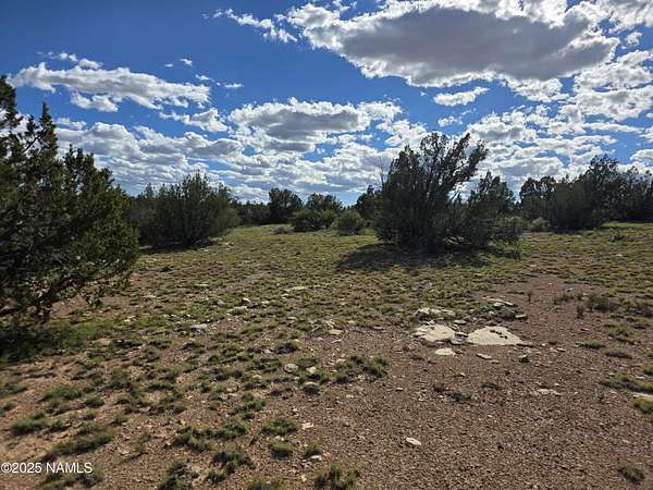 10 Acres of Recreational Land for Sale in Williams, Arizona