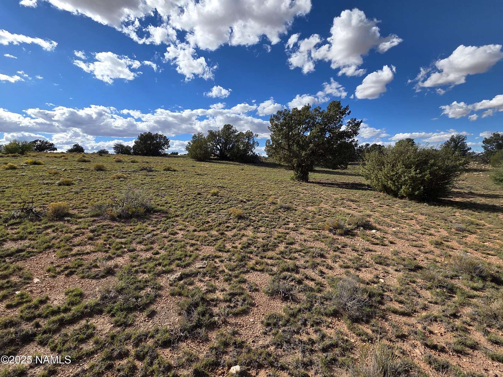 10 Acres of Land for Sale in Williams, Arizona