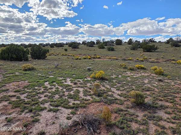 10 Acres of Recreational Land for Sale in Williams, Arizona