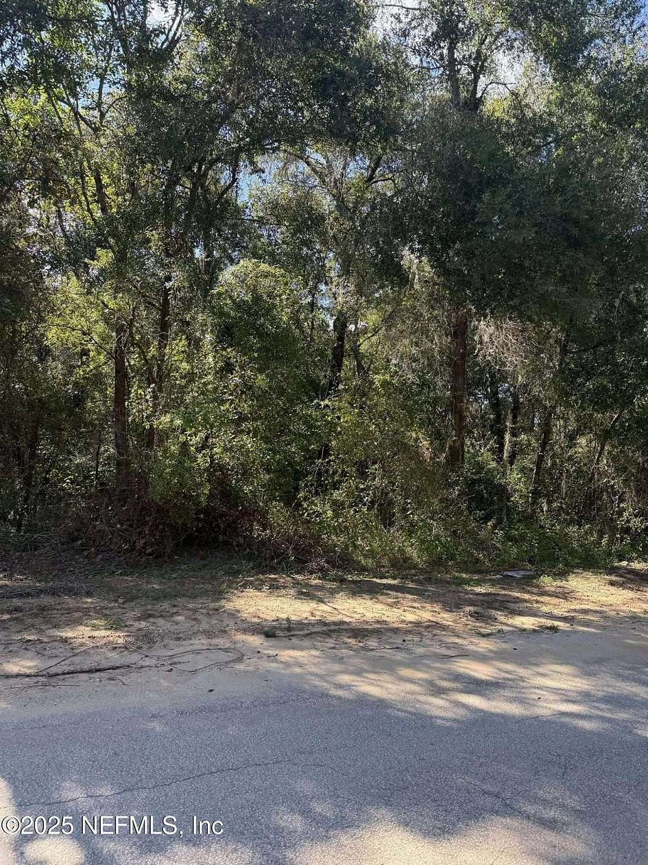 0.19 Acres of Land for Sale in Interlachen, Florida