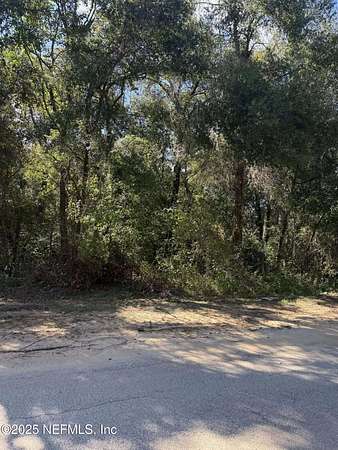 0.19 Acres of Land for Sale in Interlachen, Florida