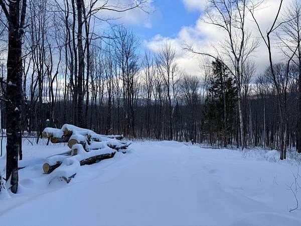 1.17 Acres of Land for Sale in Weld, Maine