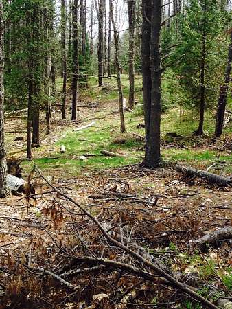 10 Acres of Residential Land for Sale in Brunswick, Maine