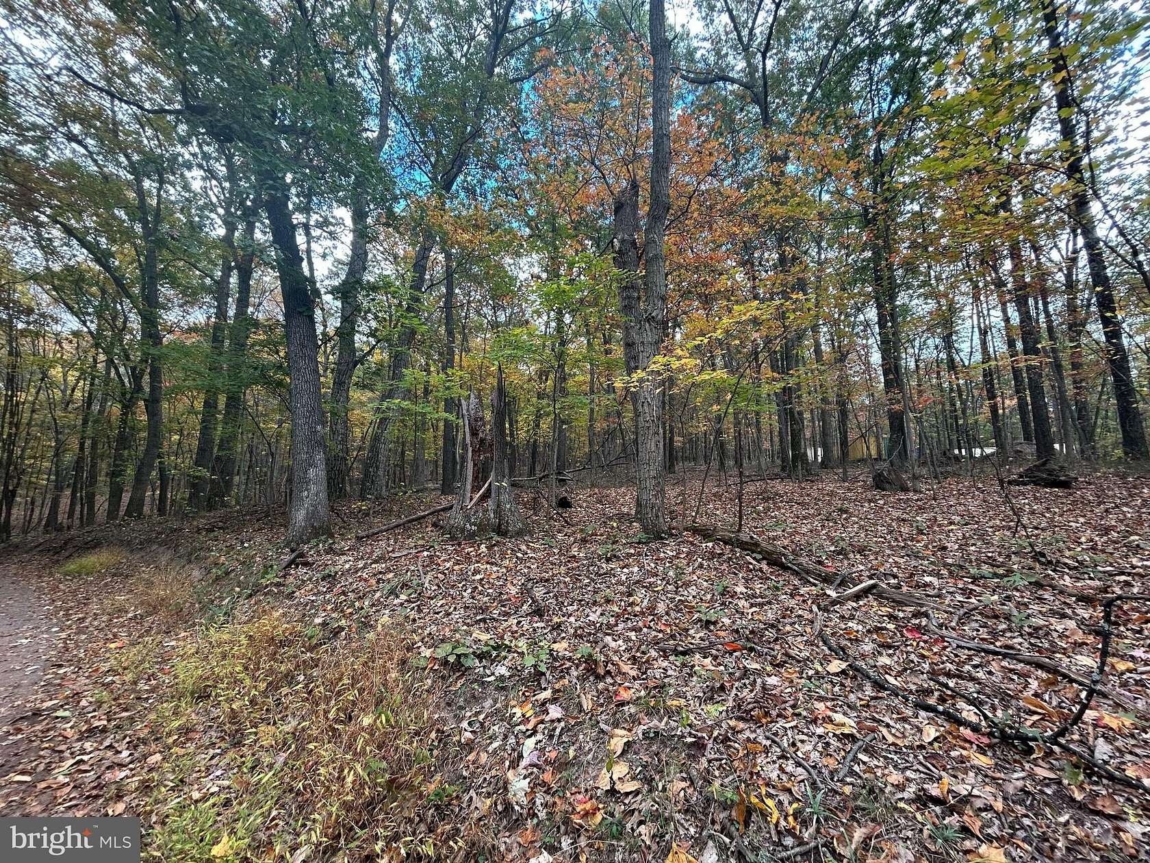 5 Acres of Residential Land for Sale in Cross Junction, Virginia
