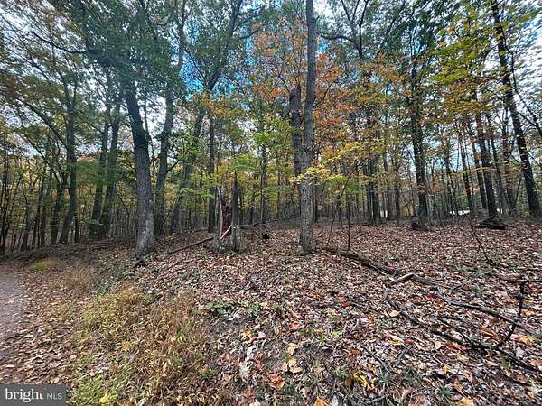 5 Acres of Residential Land for Sale in Cross Junction, Virginia