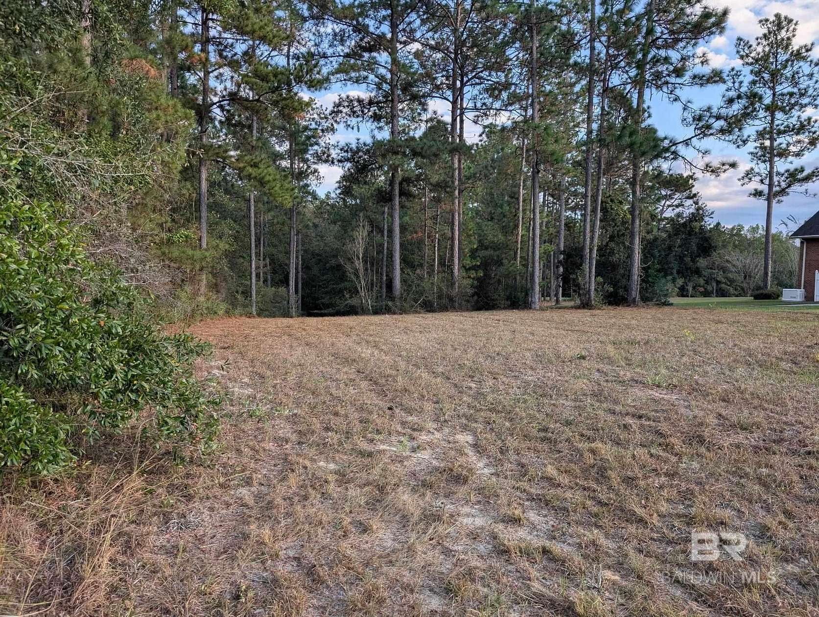 Land for Sale in Brewton, Alabama