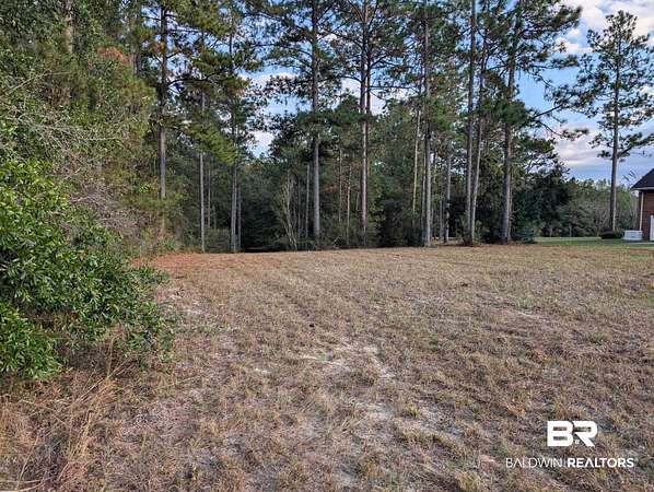 Land for Sale in Brewton, Alabama