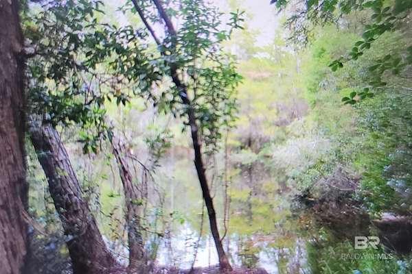 9.6 Acres of Residential Land for Sale in Seminole, Alabama