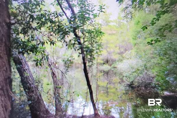 9.6 Acres of Residential Land for Sale in Seminole, Alabama