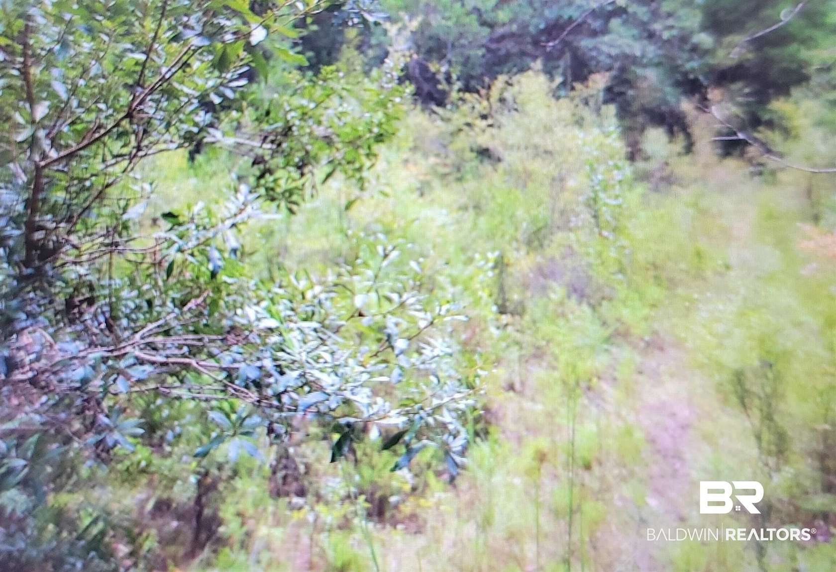 3.4 Acres of Residential Land for Sale in Seminole, Alabama