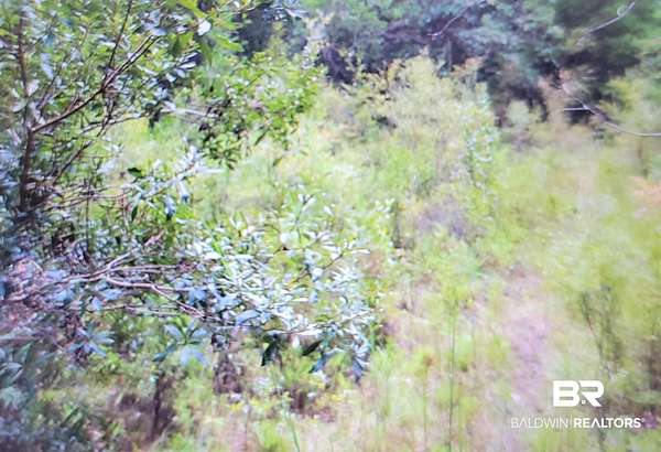 3.4 Acres of Residential Land for Sale in Seminole, Alabama