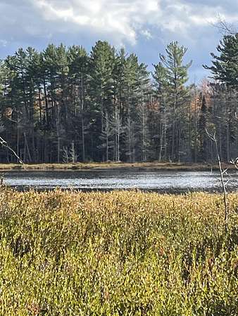 12 Acres of Land for Sale in Newberry, Michigan