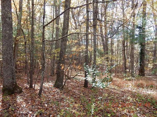 2.3 Acres of Residential Land for Sale in Hot Springs, Virginia