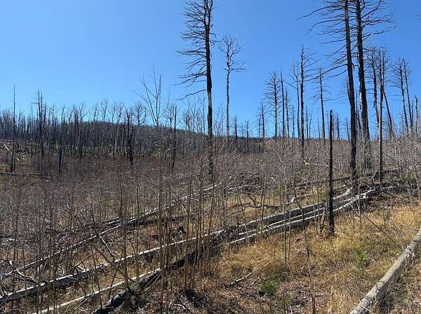 1.44 Acres of Residential Land for Sale in Fort Garland, Colorado