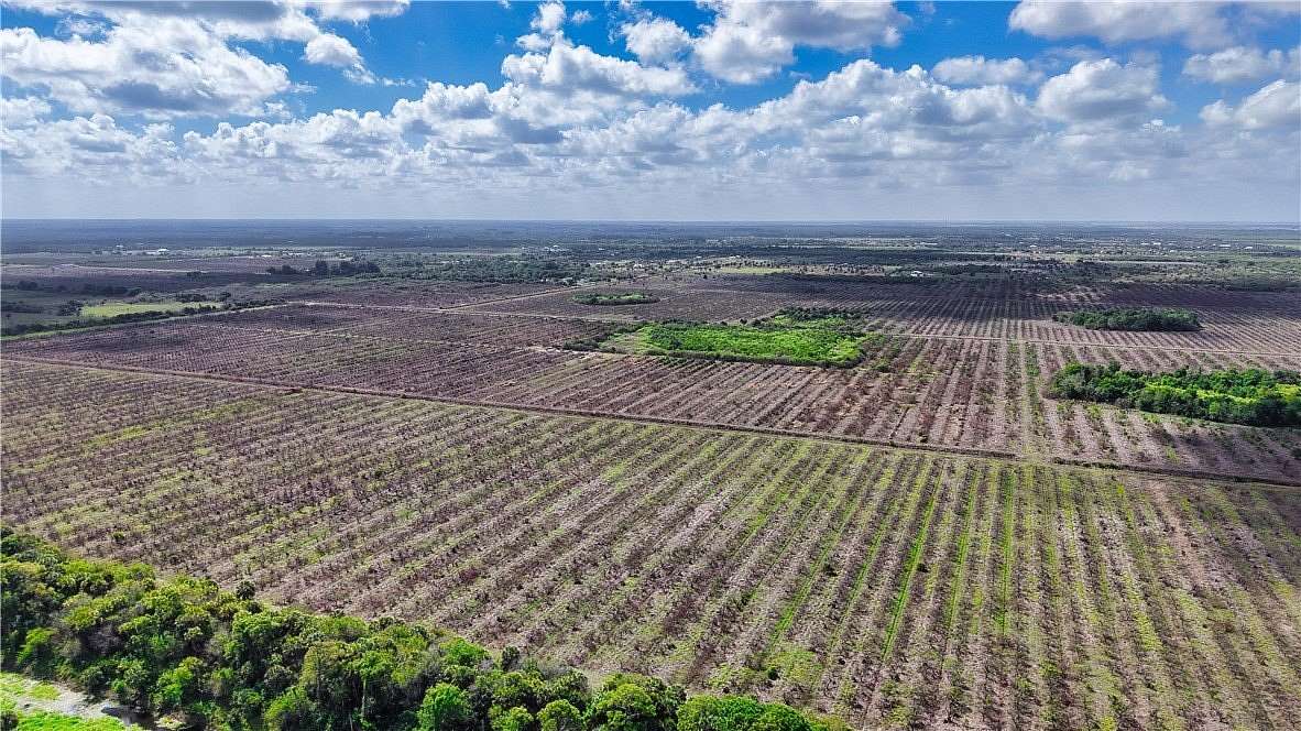 8.53 Acres of Residential Land for Sale in Fellsmere, Florida