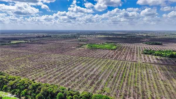 8.53 Acres of Residential Land for Sale in Fellsmere, Florida