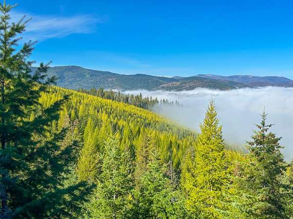 800 Acres of Recreational Land for Sale in Plains, Montana