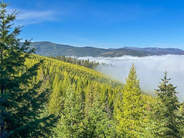 800 Acres of Recreational & Residential Land for Sale in Plains, Montana