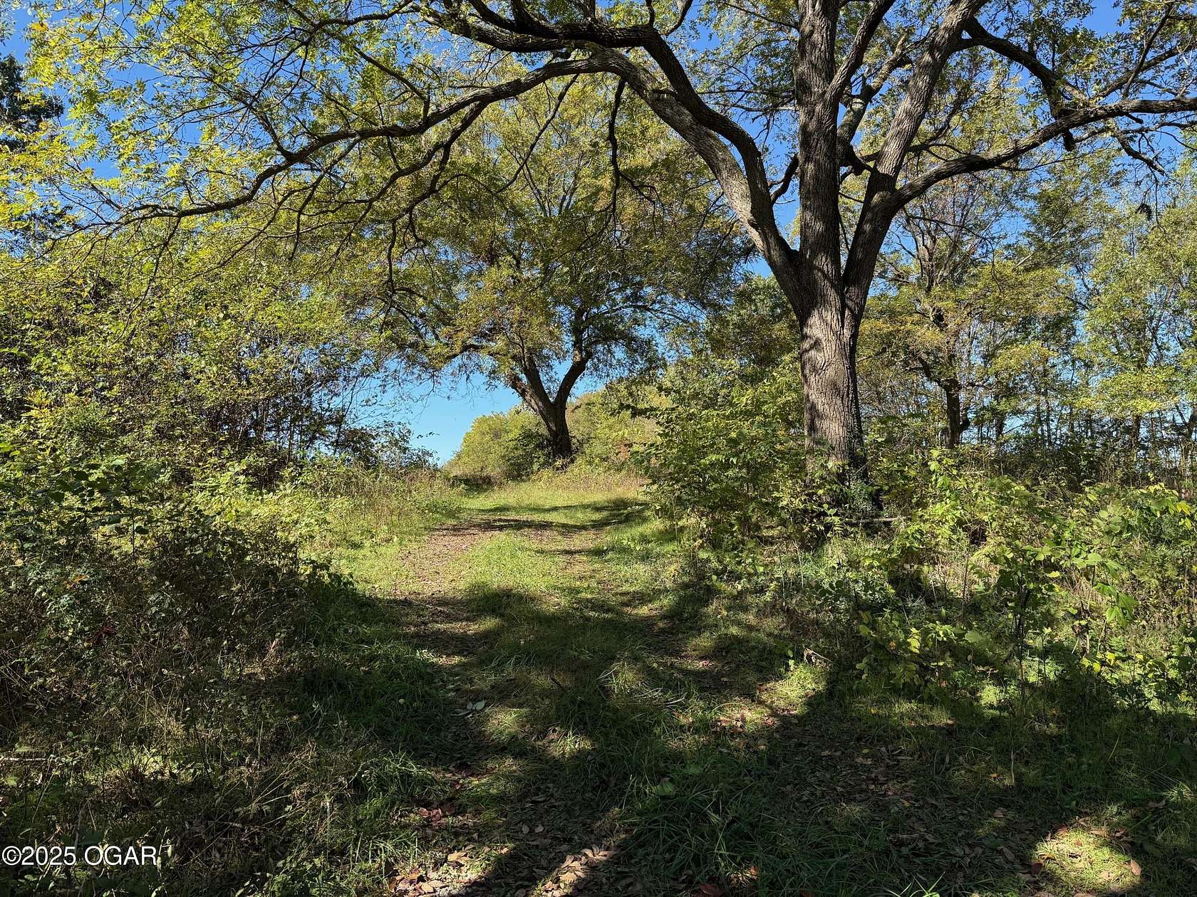 23 Acres of Land for Sale in Newtonia, Missouri