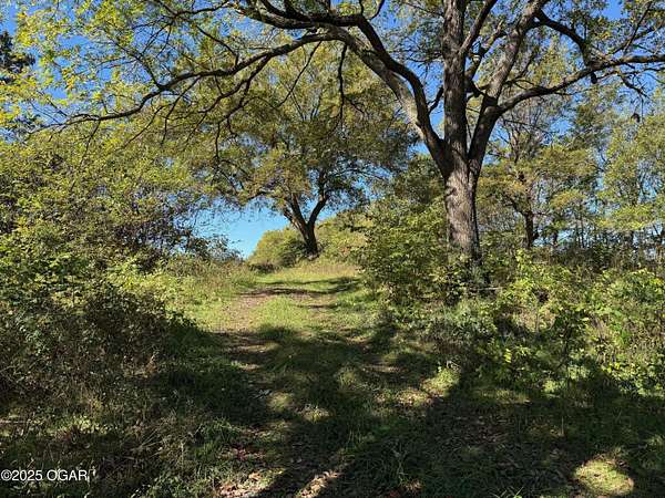 23 Acres of Land for Sale in Newtonia, Missouri