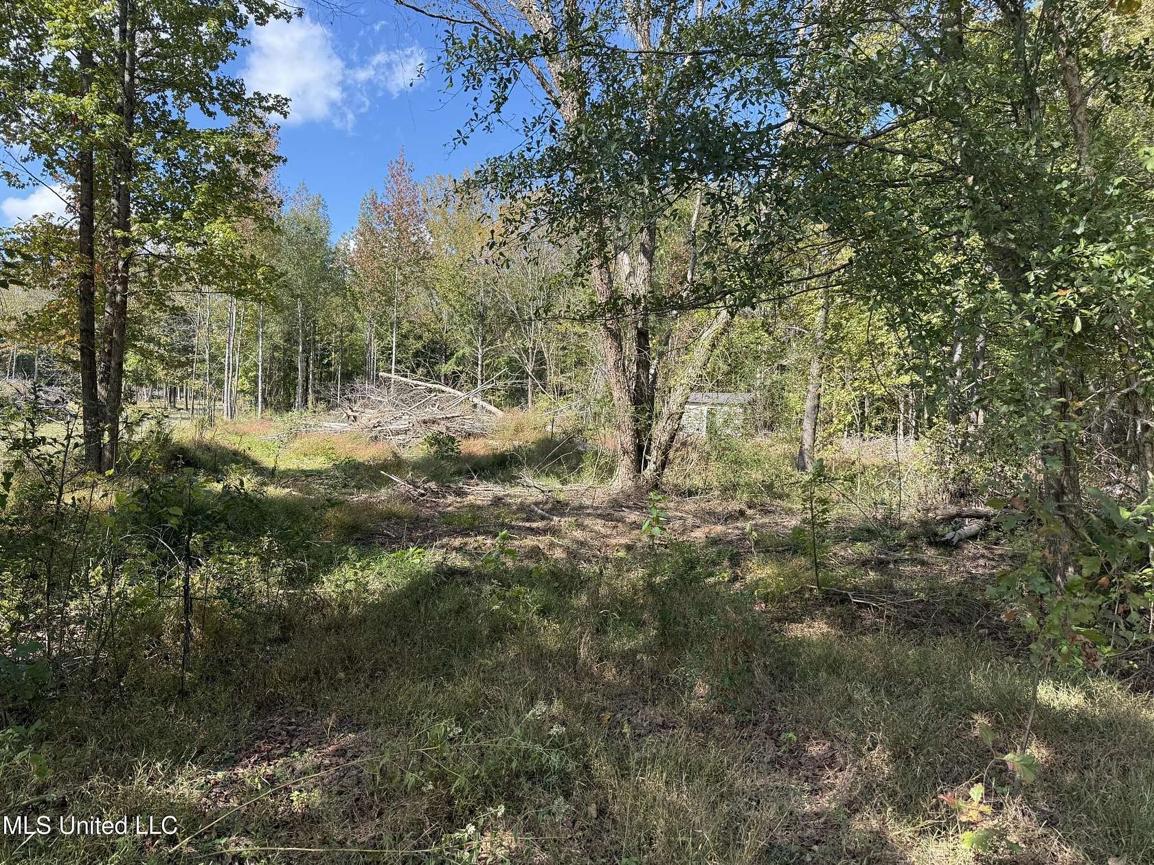 3.1 Acres of Residential Land for Sale in Byhalia, Mississippi