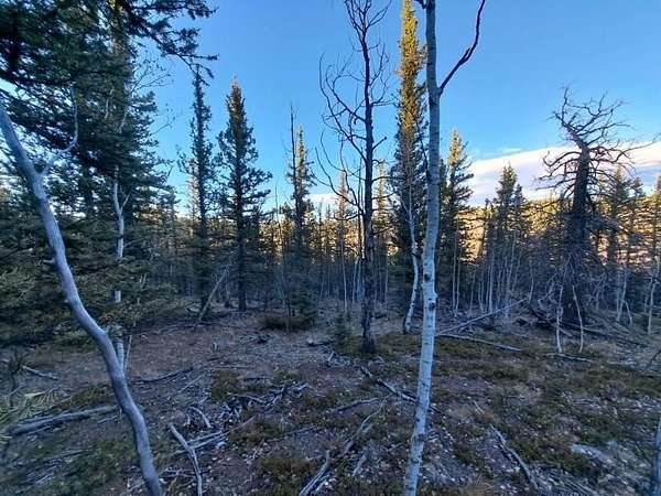 8.15 Acres of Land for Sale in Como, Colorado