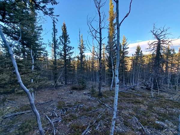 8.15 Acres of Land for Sale in Como, Colorado