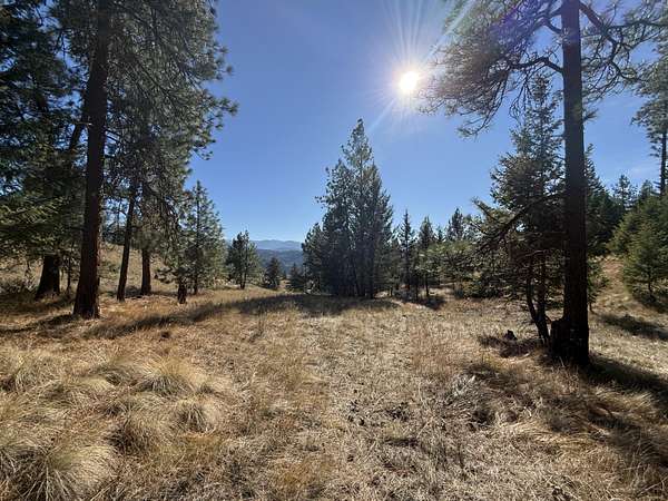 20 Acres of Land for Sale in Republic, Washington