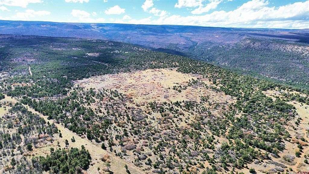 58.3 Acres of Recreational Land for Sale in Montrose, Colorado