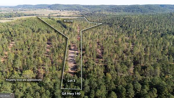 45 Acres of Land for Sale in Rydal, Georgia