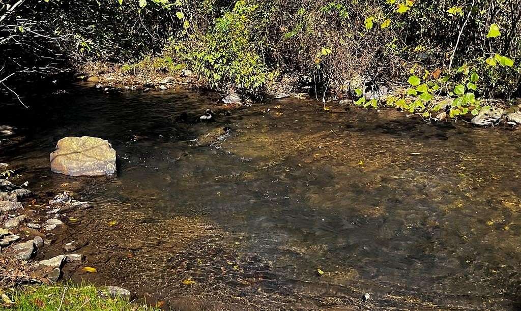 0.99 Acres of Residential Land for Sale in Stuart, Virginia