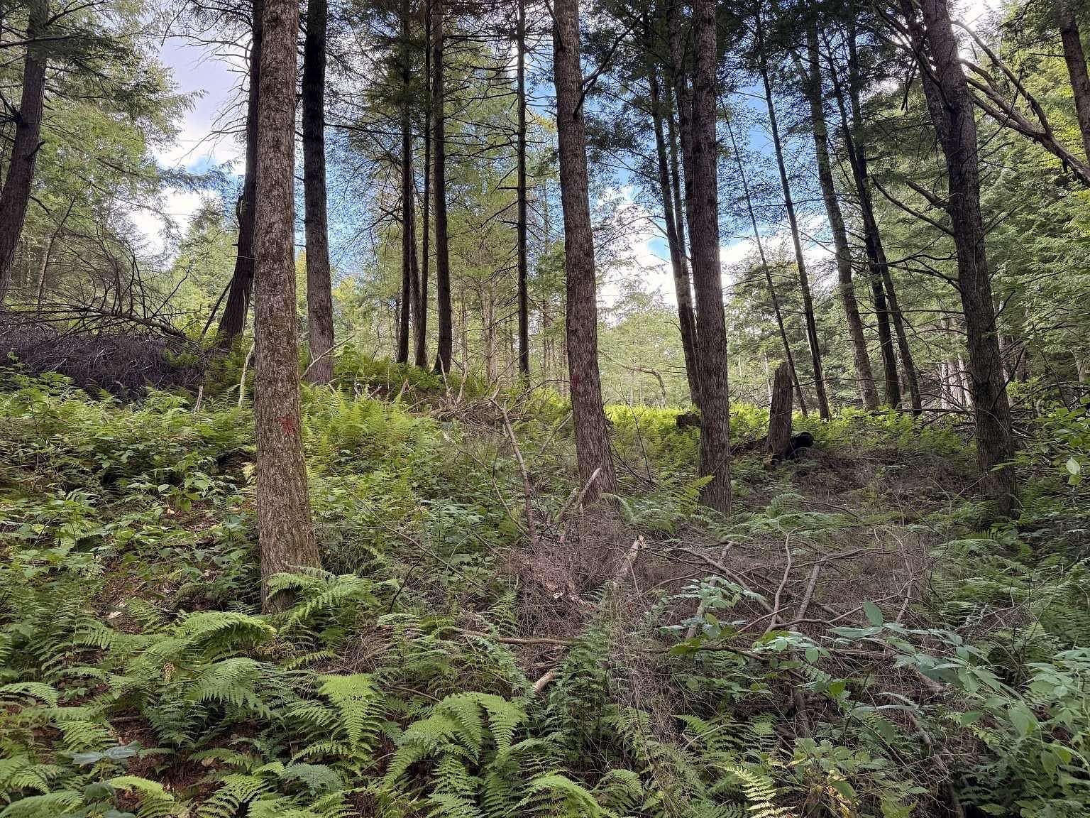 5 Acres of Residential Land for Sale in Jericho, Vermont