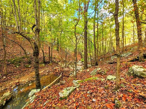 88 Acres of Recreational & Residential Land for Sale in Talihina, Oklahoma