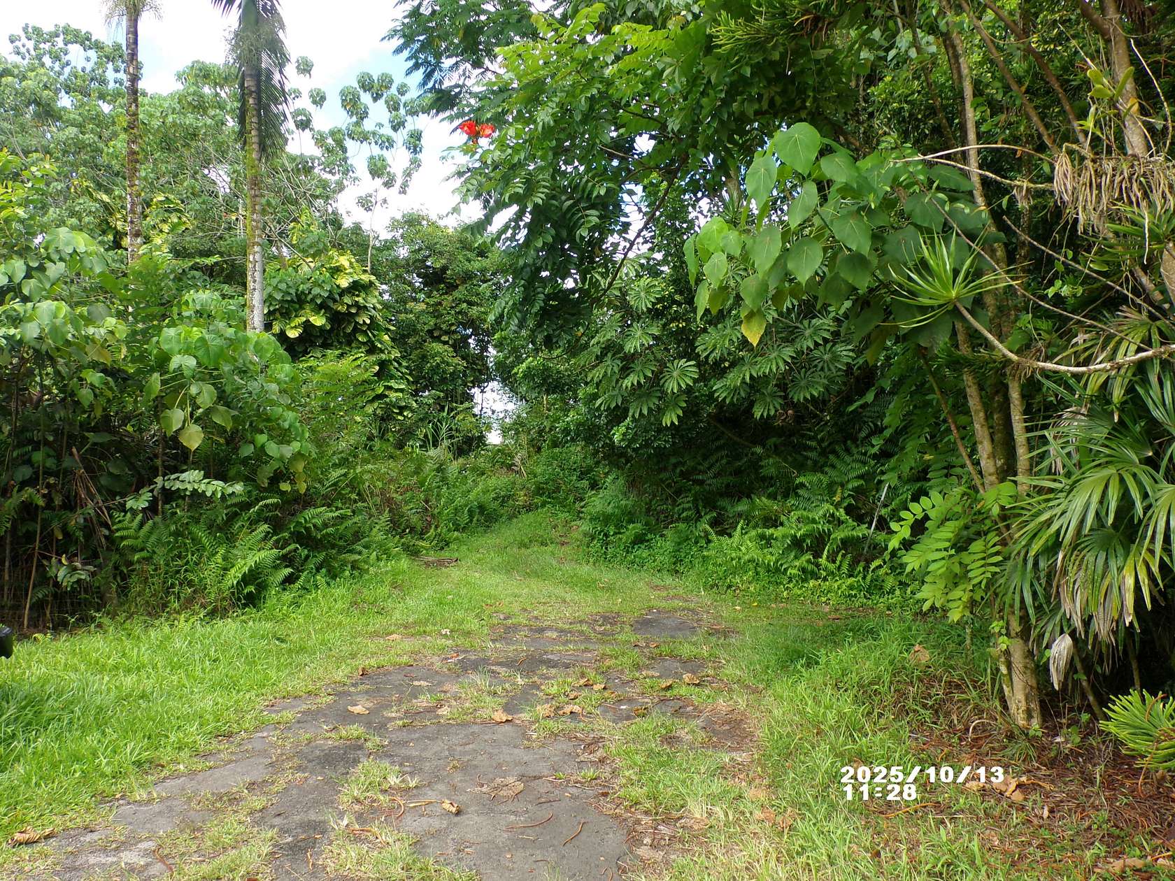 0.26 Acres of Residential Land for Sale in Pahoa, Hawaii