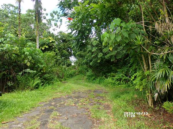0.26 Acres of Residential Land for Sale in Pahoa, Hawaii