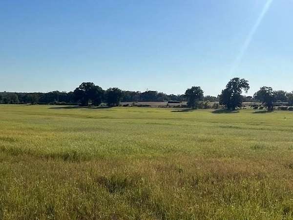 41.5 Acres of Agricultural Land for Sale in Graford, Texas