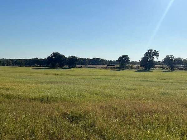 41.5 Acres of Land for Sale in Graford, Texas