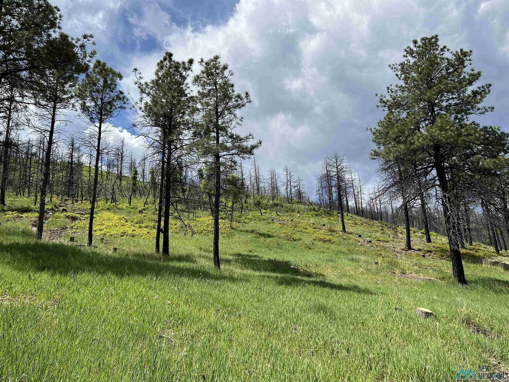 1.14 Acres of Land for Sale in Rociada, New Mexico