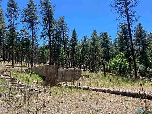 0.57 Acres of Residential Land for Sale in Rociada, New Mexico